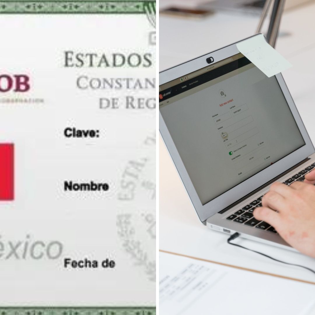 Colapsa Página Web del Gobierno de México para Descargar la Curp
