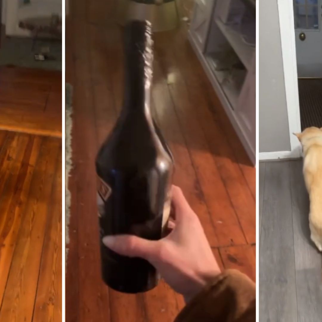 ¡Salud! Encuentran Borracho a Perrito tras Abrir un Par de Botellas de Alcohol | Video