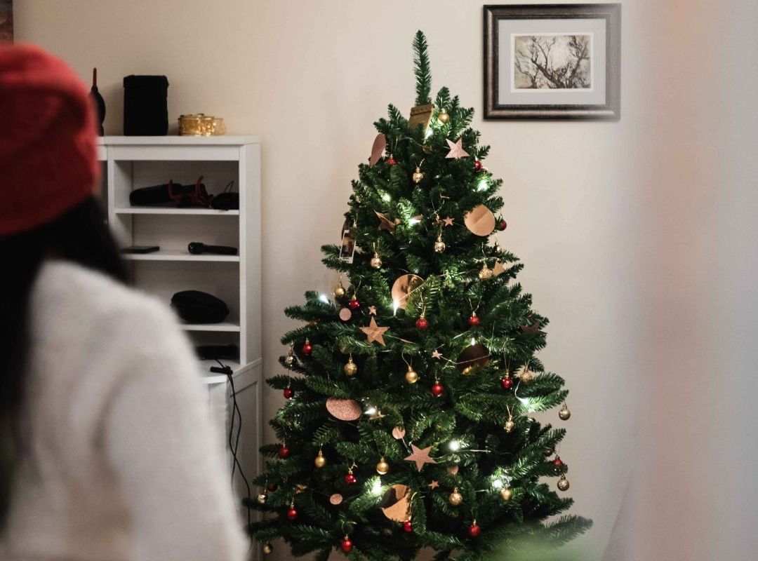 Los arbolitos de Navidad suelen ser muy costosos, pero aquí te decimos en dónde puedes encontrarlos desde 20 pesos