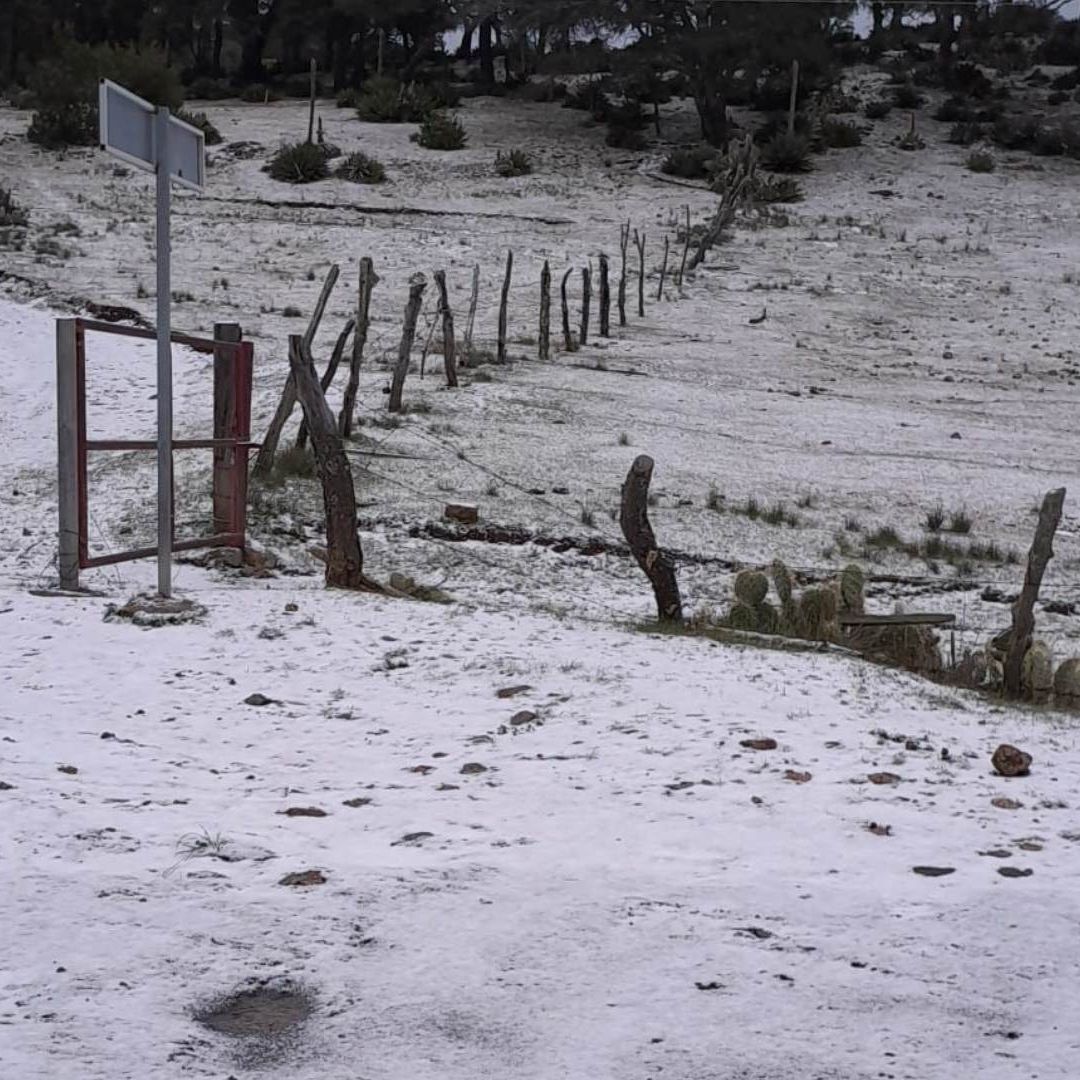 Tormenta Invernal en Nuevo León
