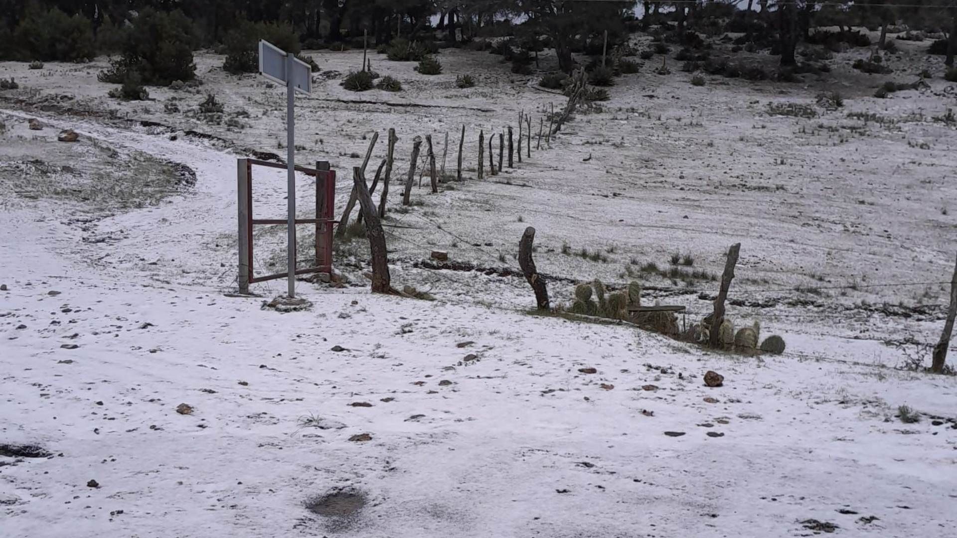 Tormenta Invernal en Nuevo León