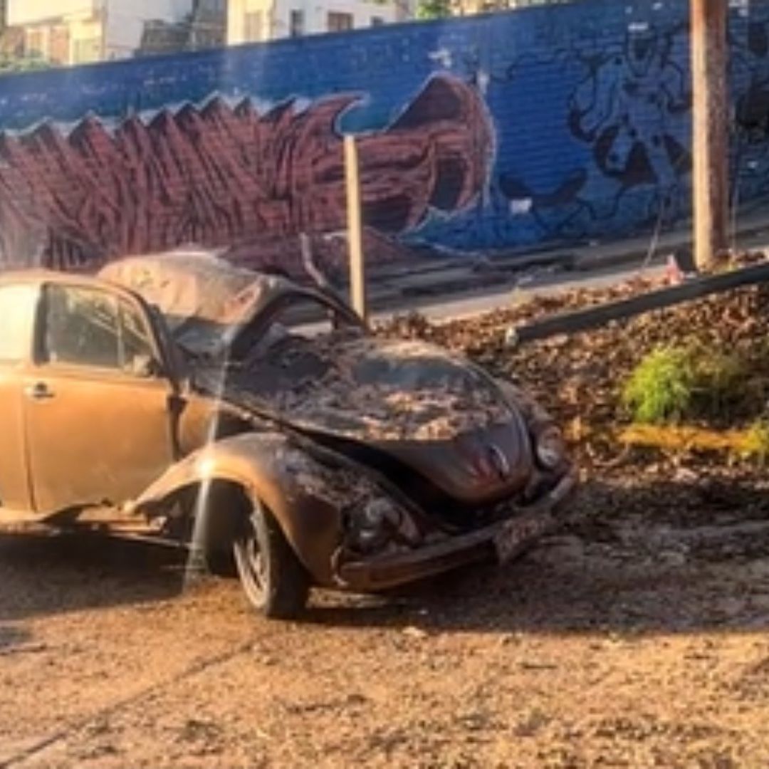 Otis vs Vocho, Sobrevive y Se Hace Viral en Redes
