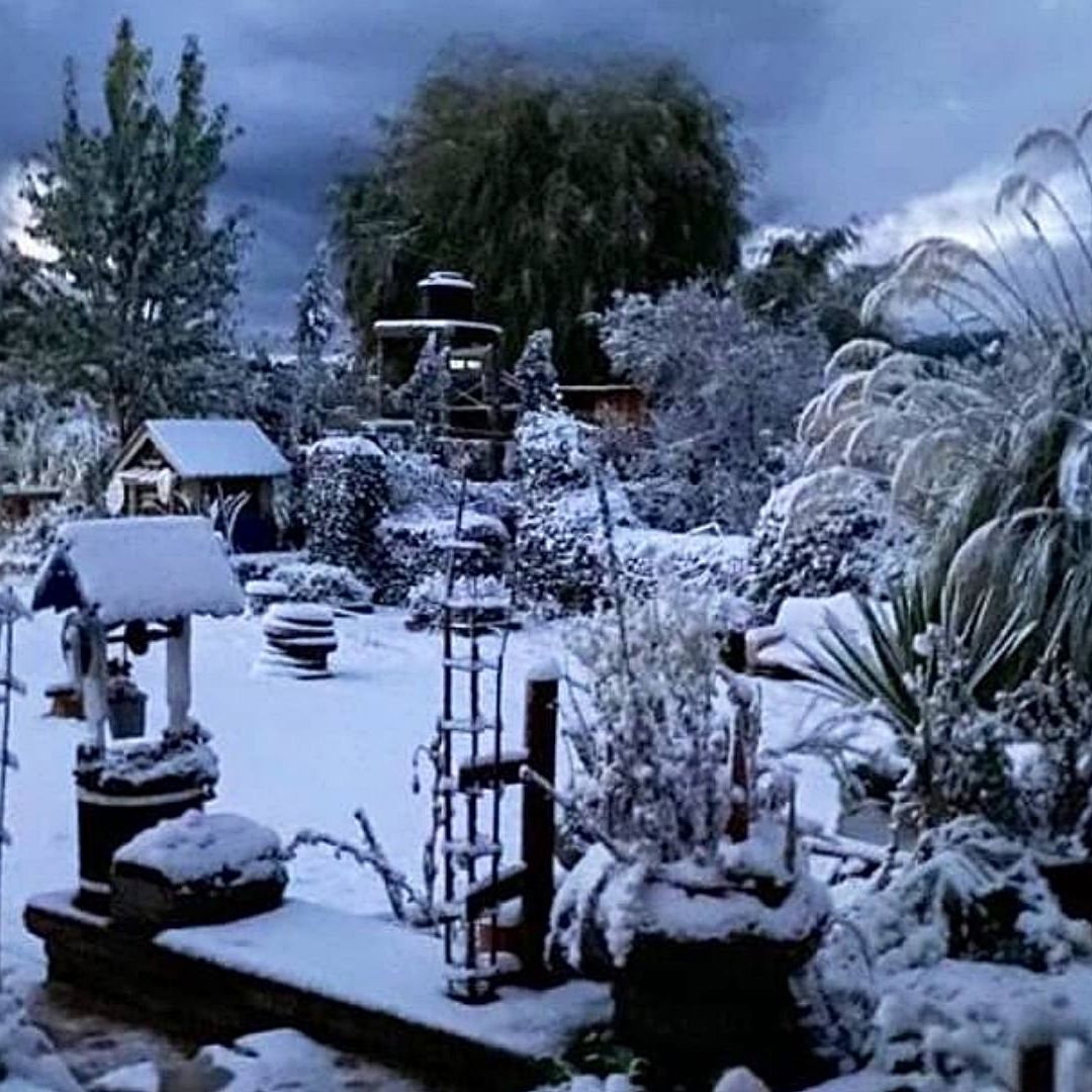 Llega primera tormenta invernal a México