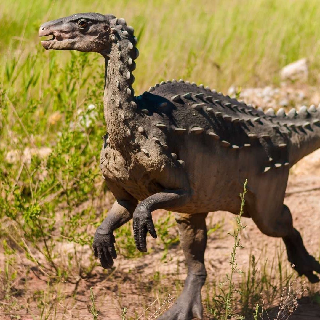 Descubren dinosaurio Farlowichnus rapidus por sus huellas en Brasil