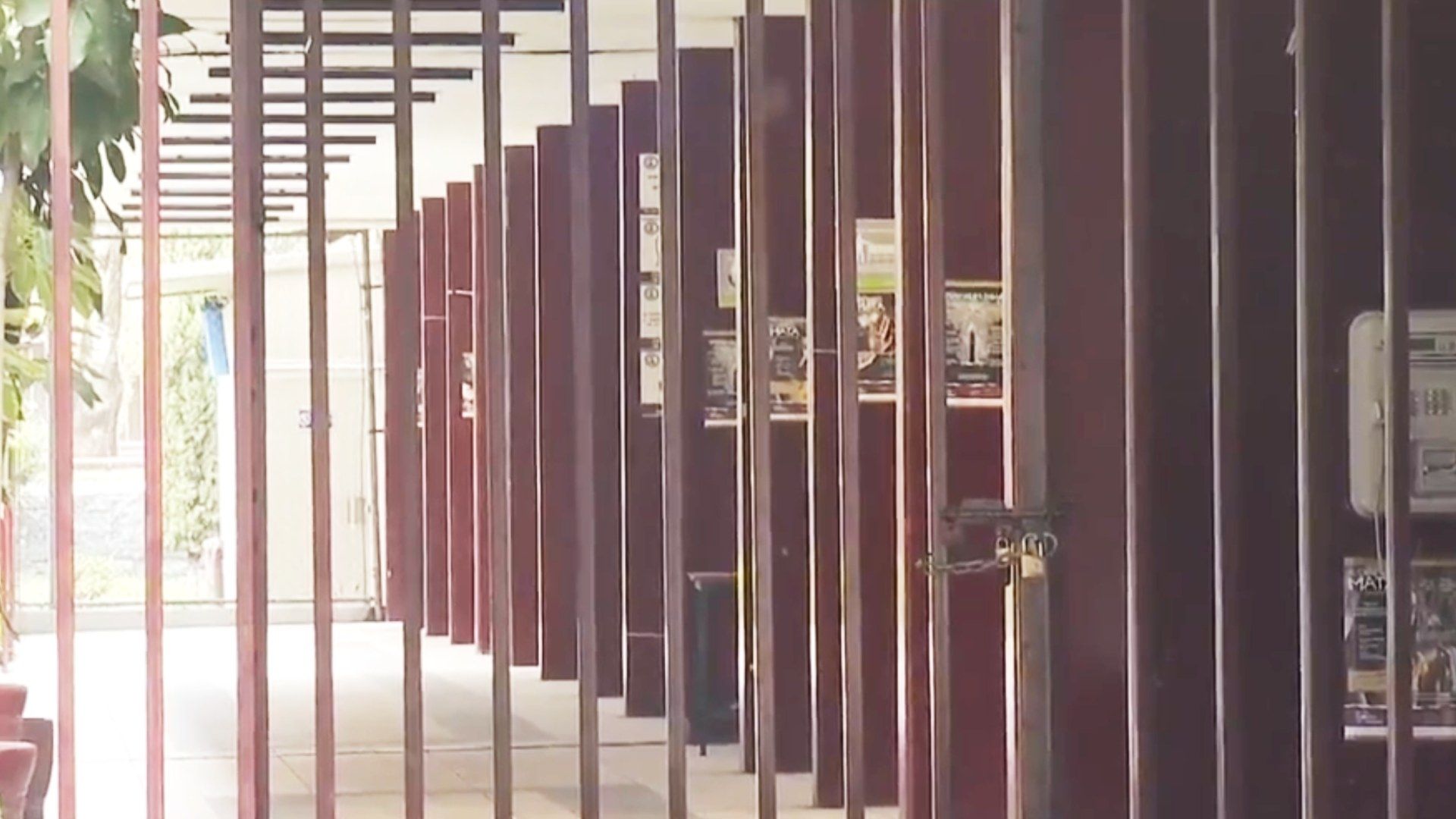 Cecyt 8 del IPN Reinicia Clases este Lunes tras Acuerdo con Estudiantes