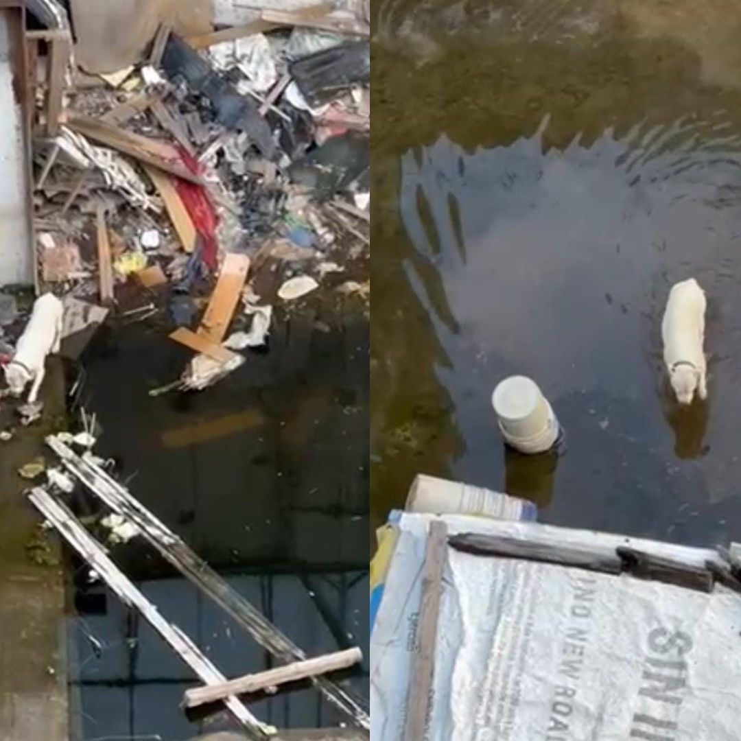 Luna vivía en un predio lleno de escombros y basura que se inundó con las lluvias.