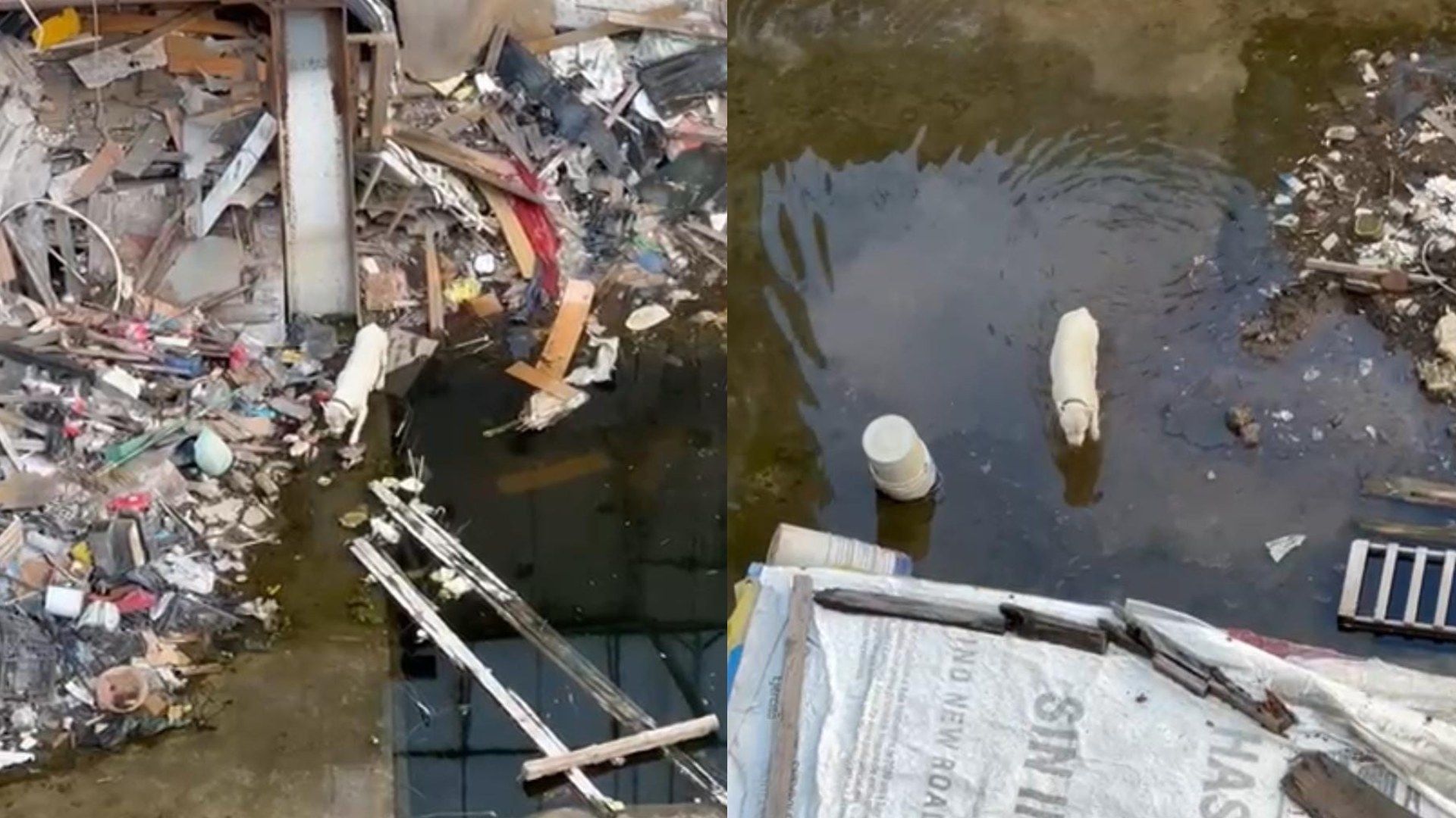 Luna vivía en un predio lleno de escombros y basura que se inundó con las lluvias.