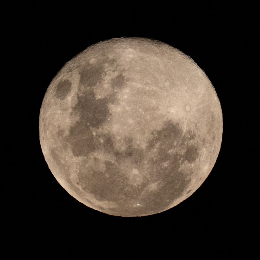 Luna de Castor 2023, así lució en CDMX