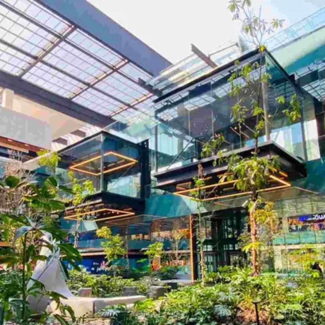 Muere Mujer al Atragantarse en Área de Comida de Plaza Parque Tepeyac