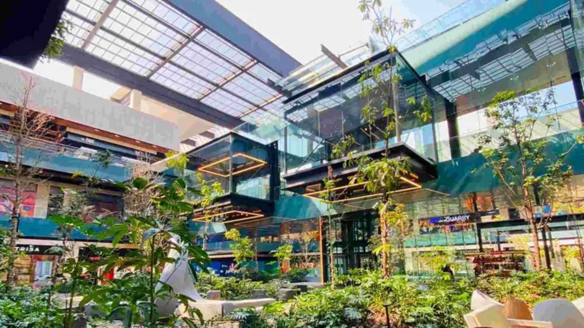 Muere Mujer al Atragantarse en Área de Comida de Plaza Parque Tepeyac