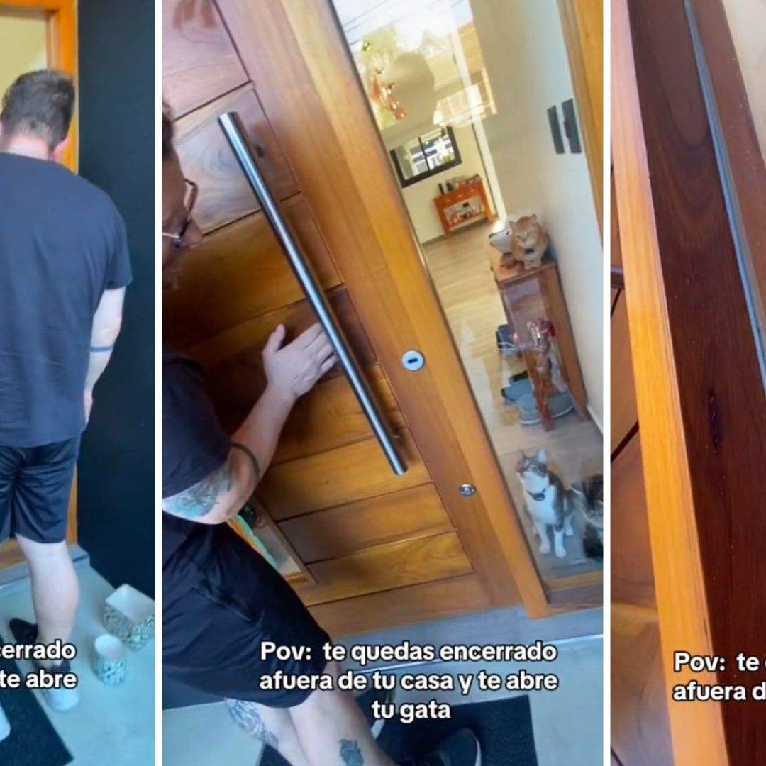 ‘Cala, abrime, dale’: Gatita Abre la Puerta a Dueño que Olvidó sus Llaves | Video
