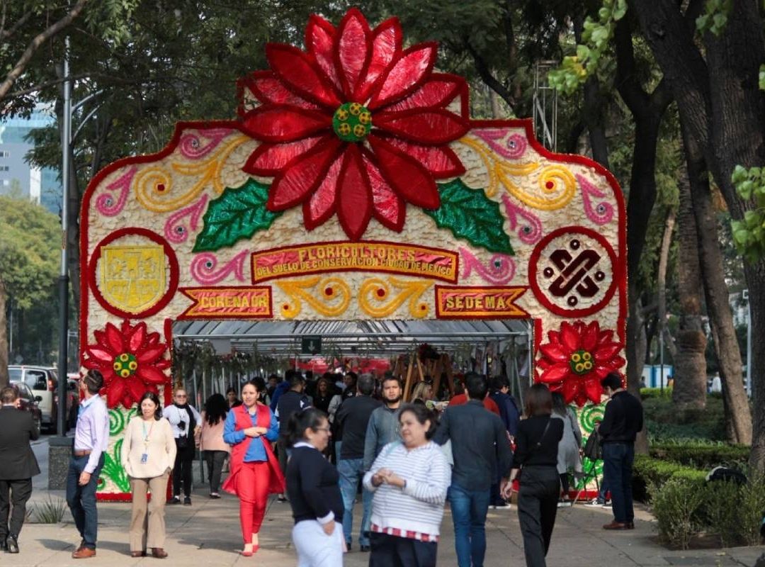 La venta de nochebuenas en el Paseo de la Reforma se realiza en 140 locales con una gran variedad de flores y precios