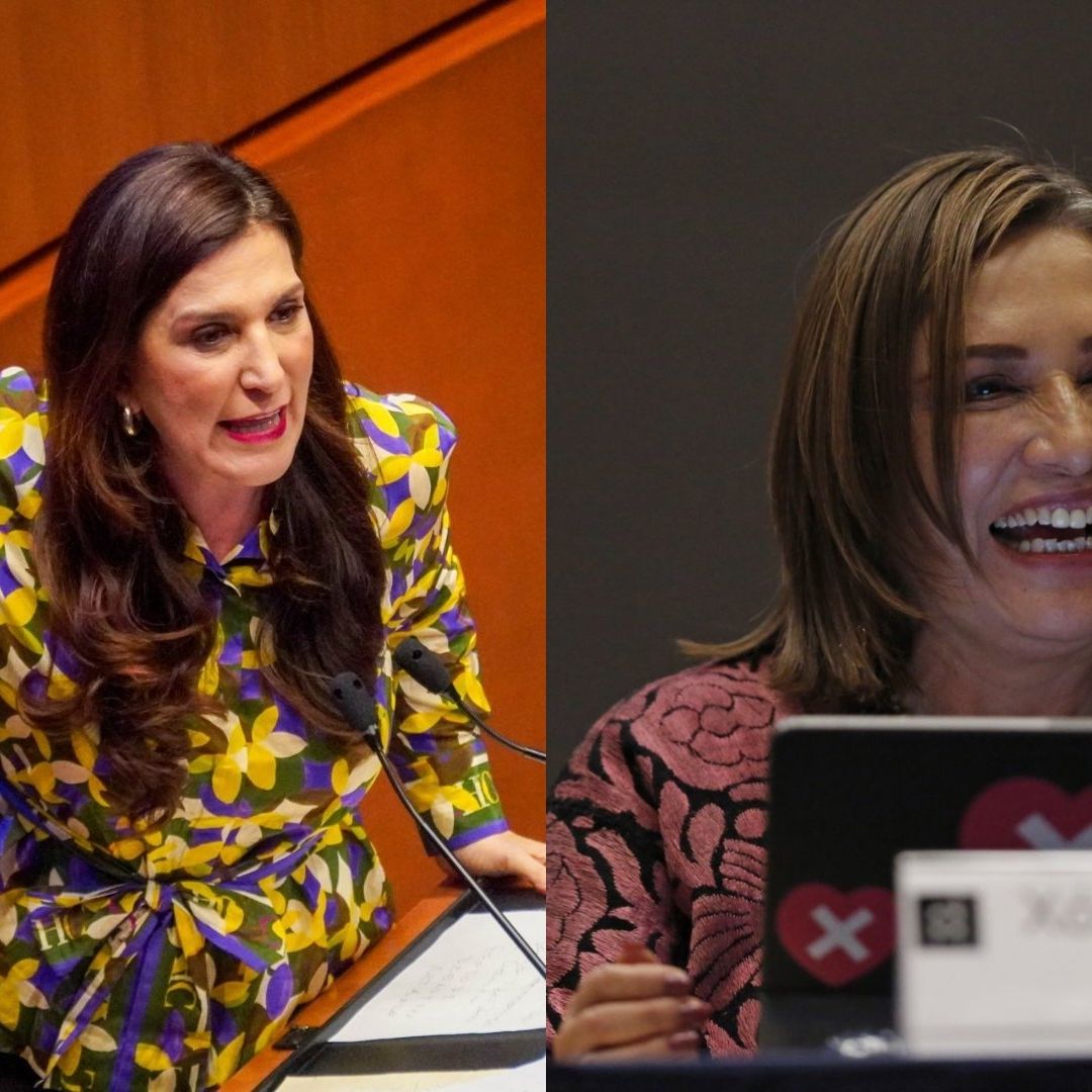 La vicecoordinadora del grupo parlamentario del PAN en el Senado se separará de manera indefinida de sus funciones legislativas a partir del viernes 1 de diciembre