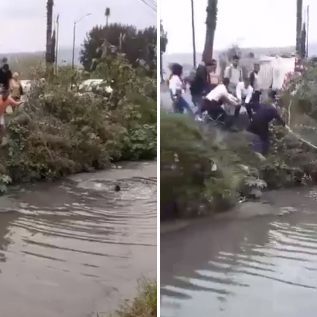 Video: Rescatan a Abuelito de Morir Ahogado en Canal de Aguas Negras