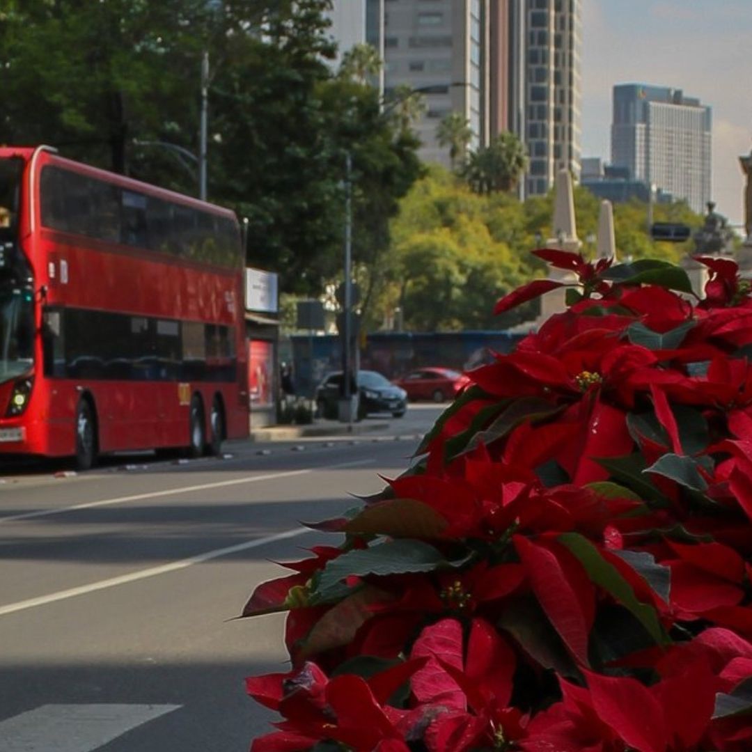 BoloFest 2023: Calles Estaciones Metrobús CDMX Cerradas
