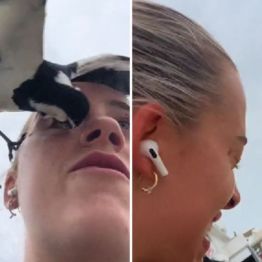 Video | Ave Ataca a Australiana Mientras Corría, Casi Pierde el Ojo