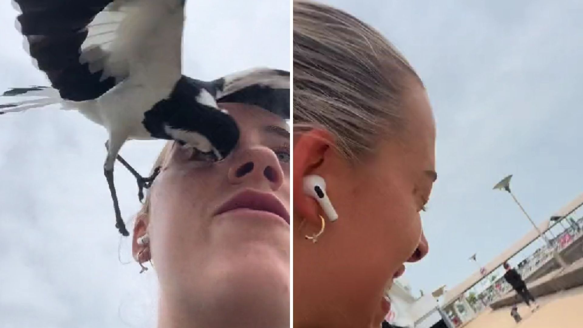 Video | Ave Ataca a Australiana Mientras Corría, Casi Pierde el Ojo