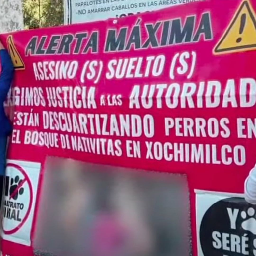 Sin avances en investigación sobre perros muertos en Nativitas