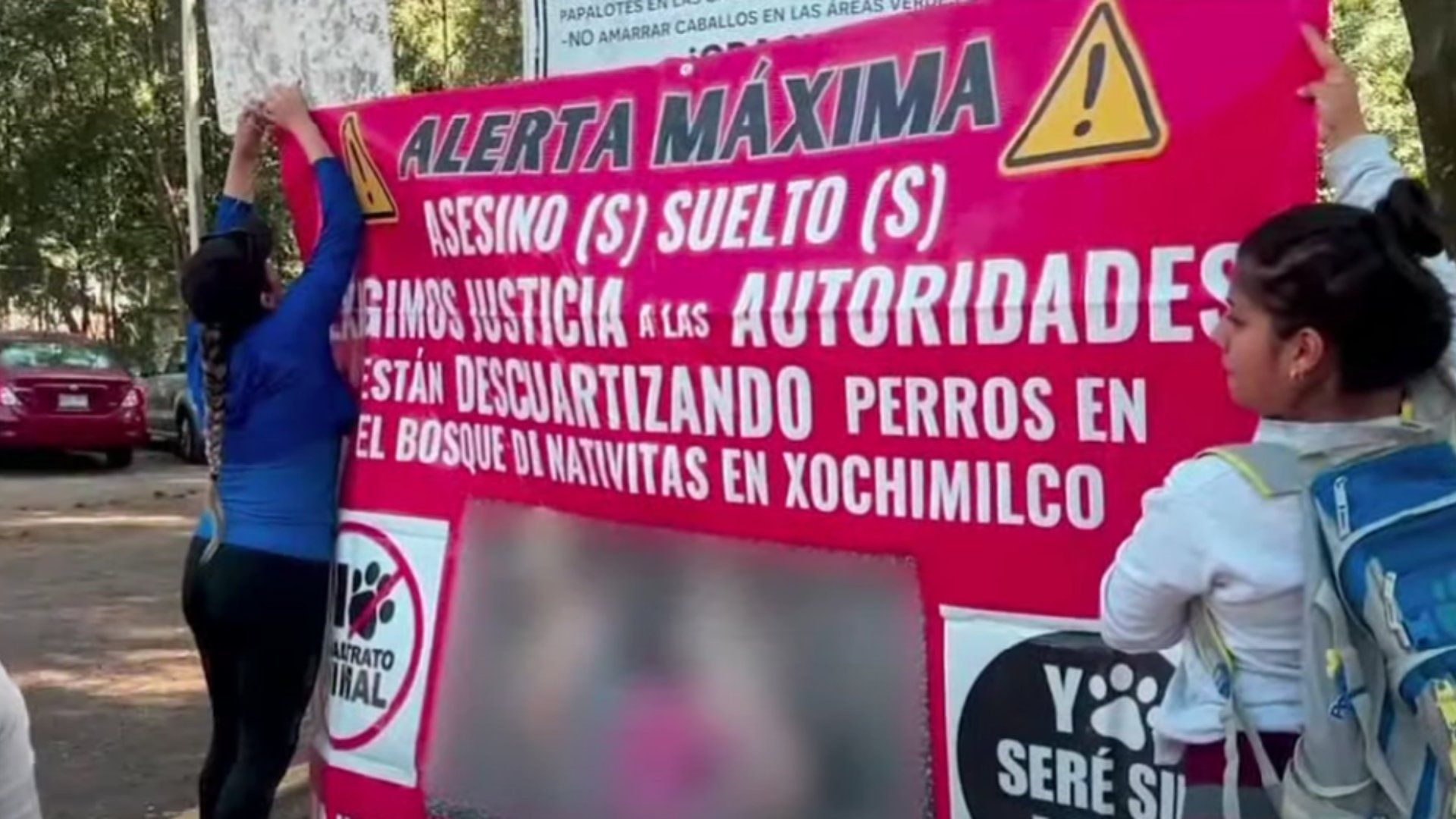 Sin avances en investigación sobre perros muertos en Nativitas