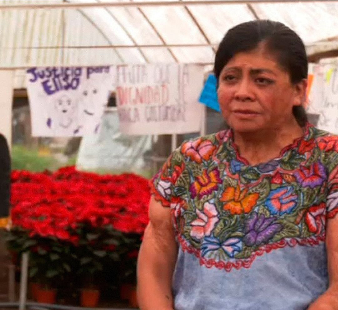 Elisa Xolalpa, defensora de derechos humanos, entre flores y carteles de apoyo