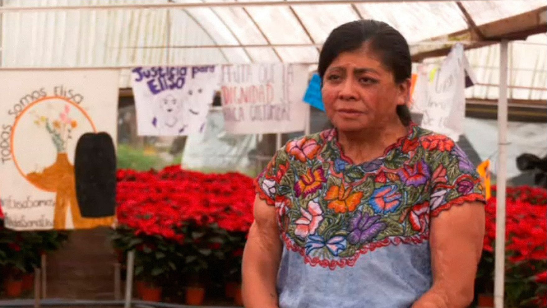 Elisa Xolalpa, defensora de derechos humanos, entre flores y carteles de apoyo