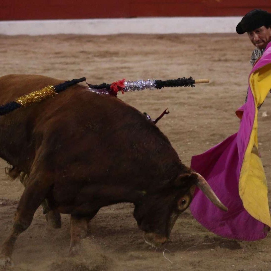 corrida en la Plaza de Toros Mérida.