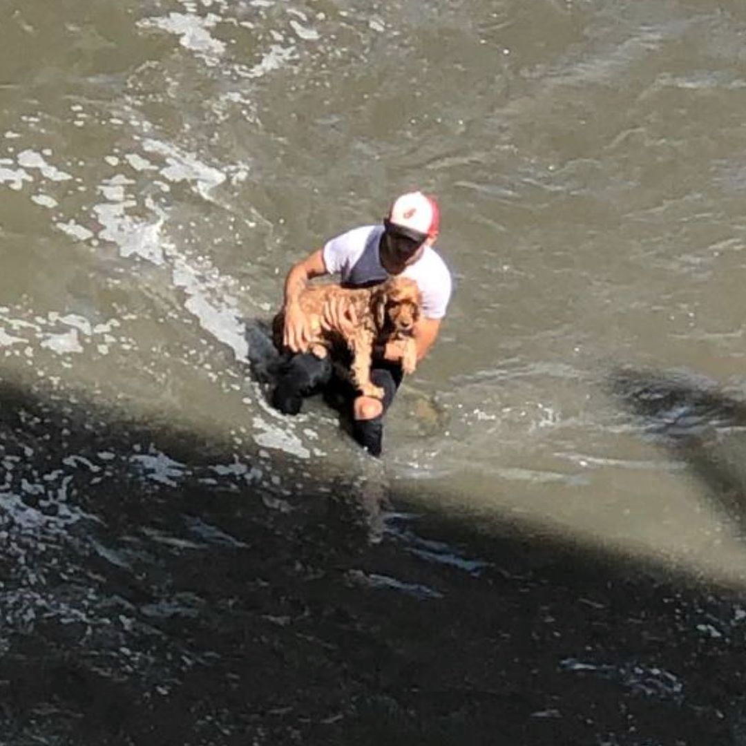 Hombre se lanza a río Medellín para salvar a perrito