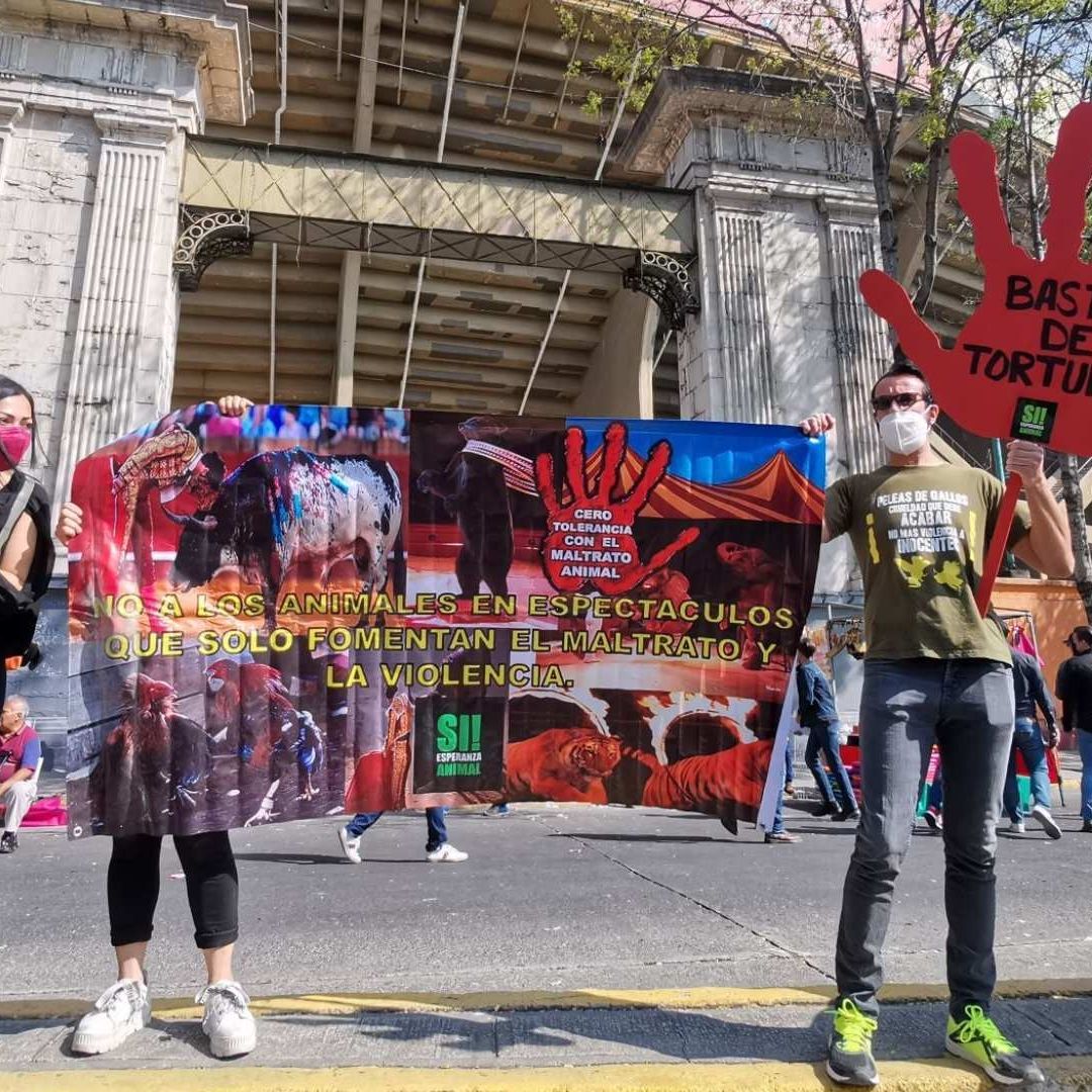 Podcast N+ | Regresan los Toros a la CDMX, Corea del Norte y Taylor Swift