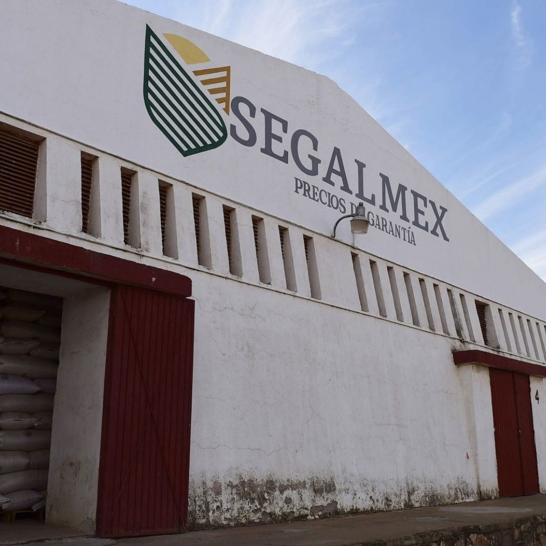 N+ Focus, la unidad de periodismo de investigación de Nmás, presentó una radiografía por el desfalco en Segalmex