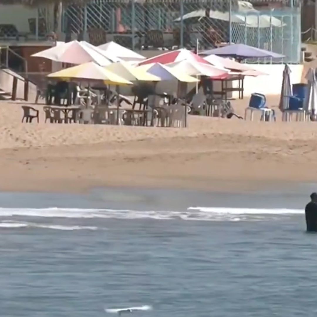 Reabren Playa Melaque, en Jalisco, Tras Ataque de Tiburón