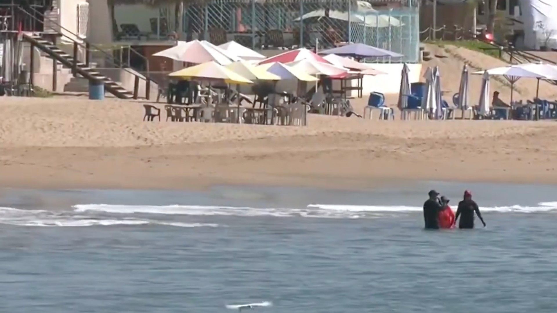 Reabren Playa Melaque, en Jalisco, Tras Ataque de Tiburón