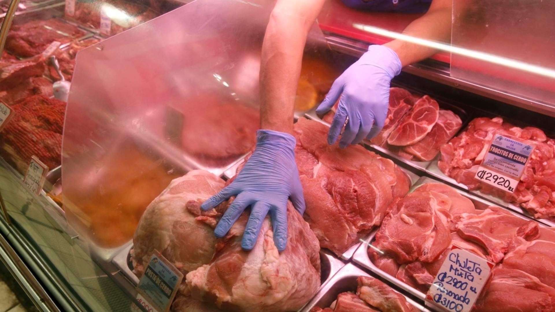 Honk Kong sacrifificará cerdos por peste porcina