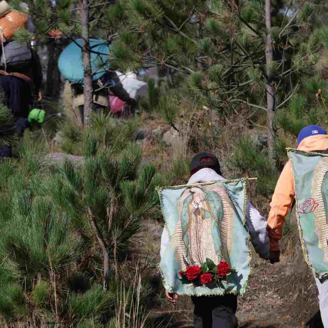 Peregrinos desbordan su fe a la virgen caminando por las carreteras de México