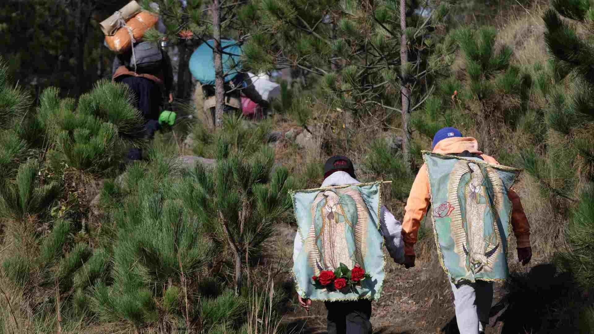 Peregrinos desbordan su fe a la virgen caminando por las carreteras de México