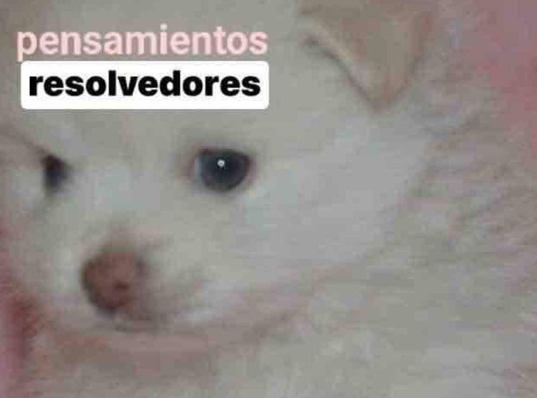 Los memes pidiendo a los hombres que resuelvan se han hecho virales en internet; este es su significado