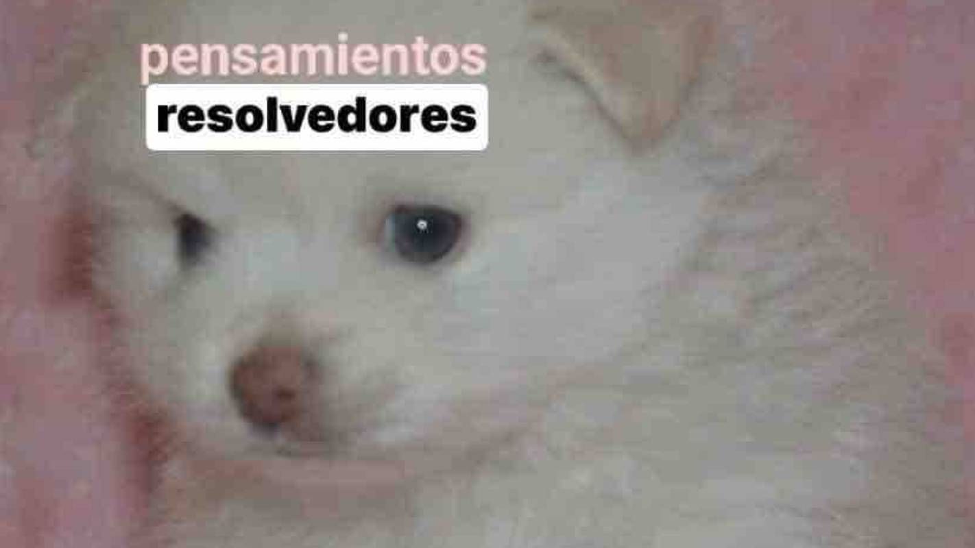 Los memes pidiendo a los hombres que resuelvan se han hecho virales en internet; este es su significado