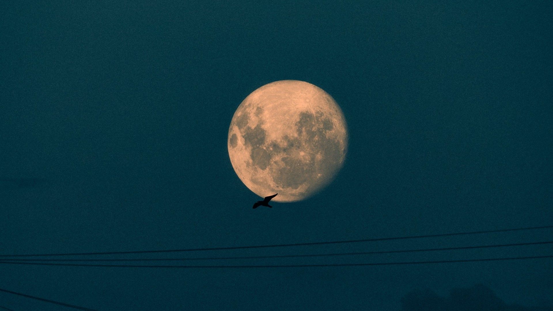 Este Día Será la Última Luna Llena de Diciembre 2023, También Llamada 'Luna de Nieve'