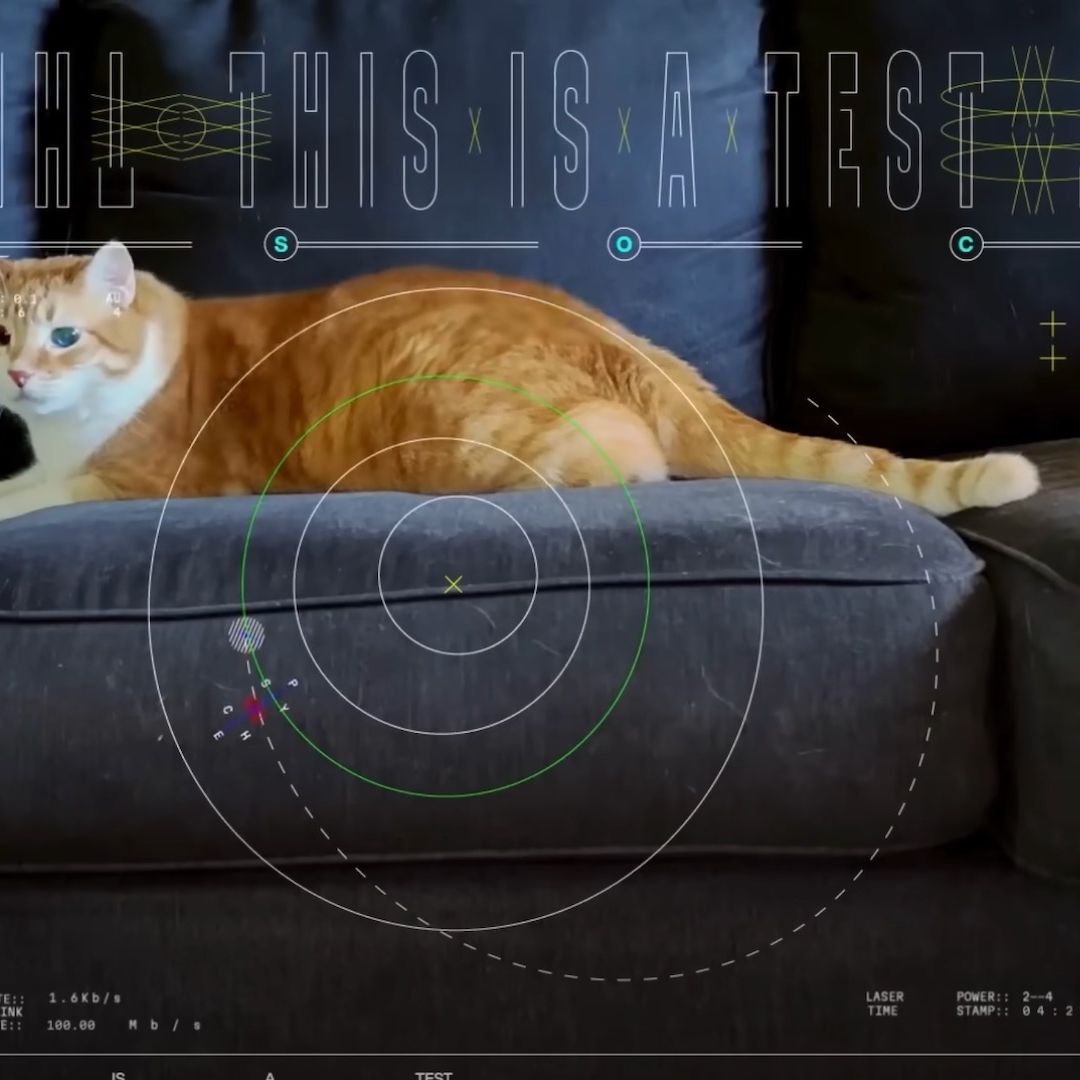 La NASA manda video de un gatito a través de un rayo láser por el espacio