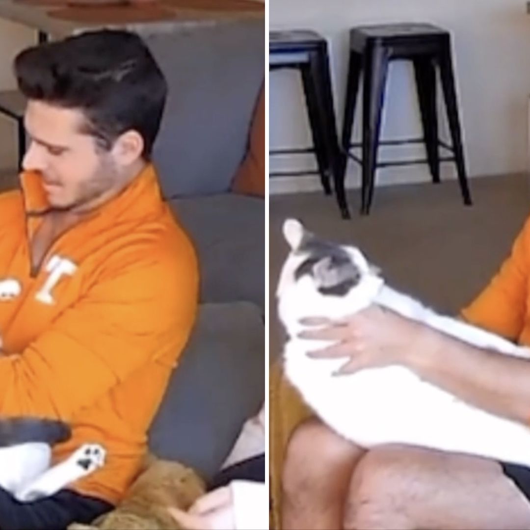 Descubrió que el gato que cargaba no era el suyo