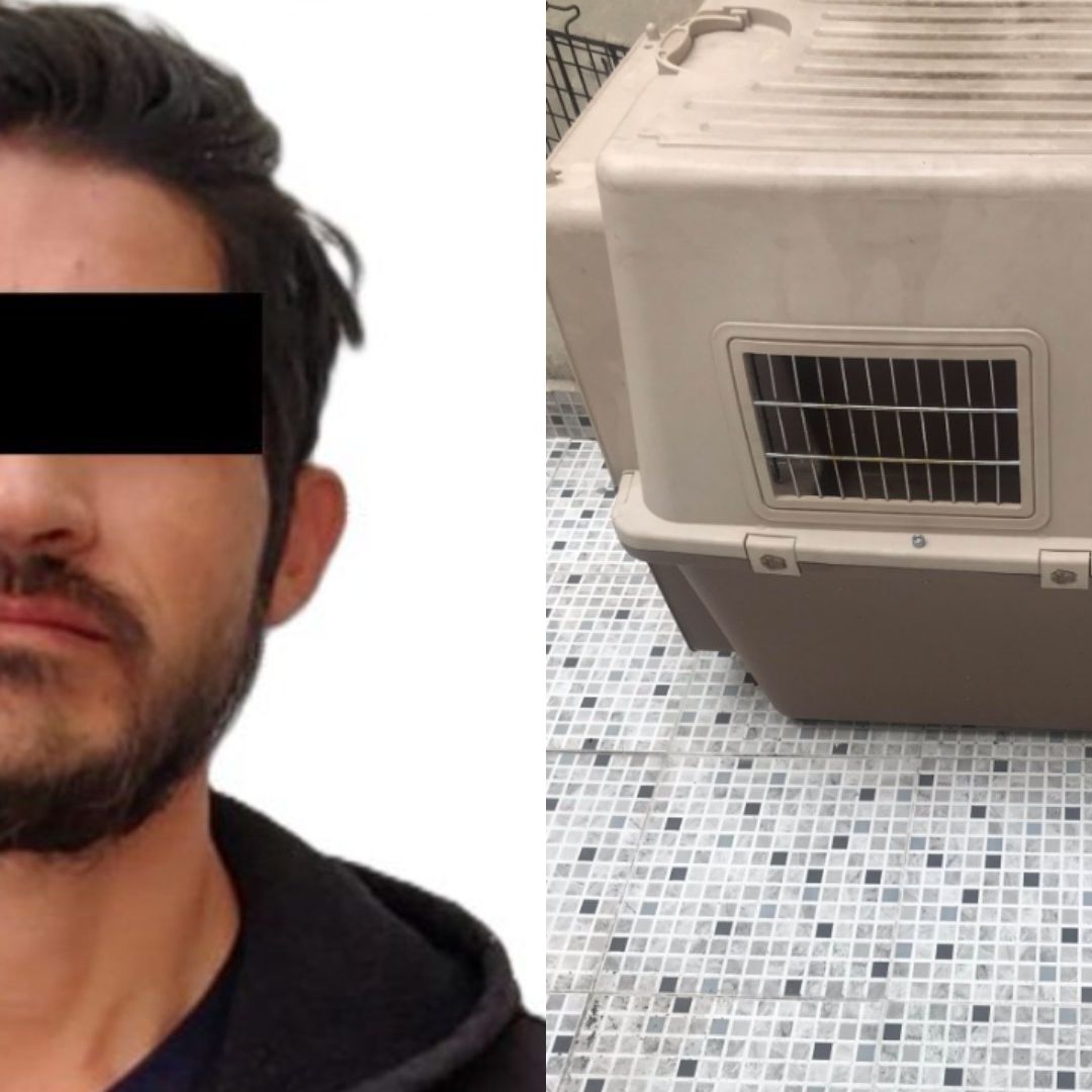 Julio Franklin “N”, detenido por torturar y matar perros en Tecámac, Estado de México