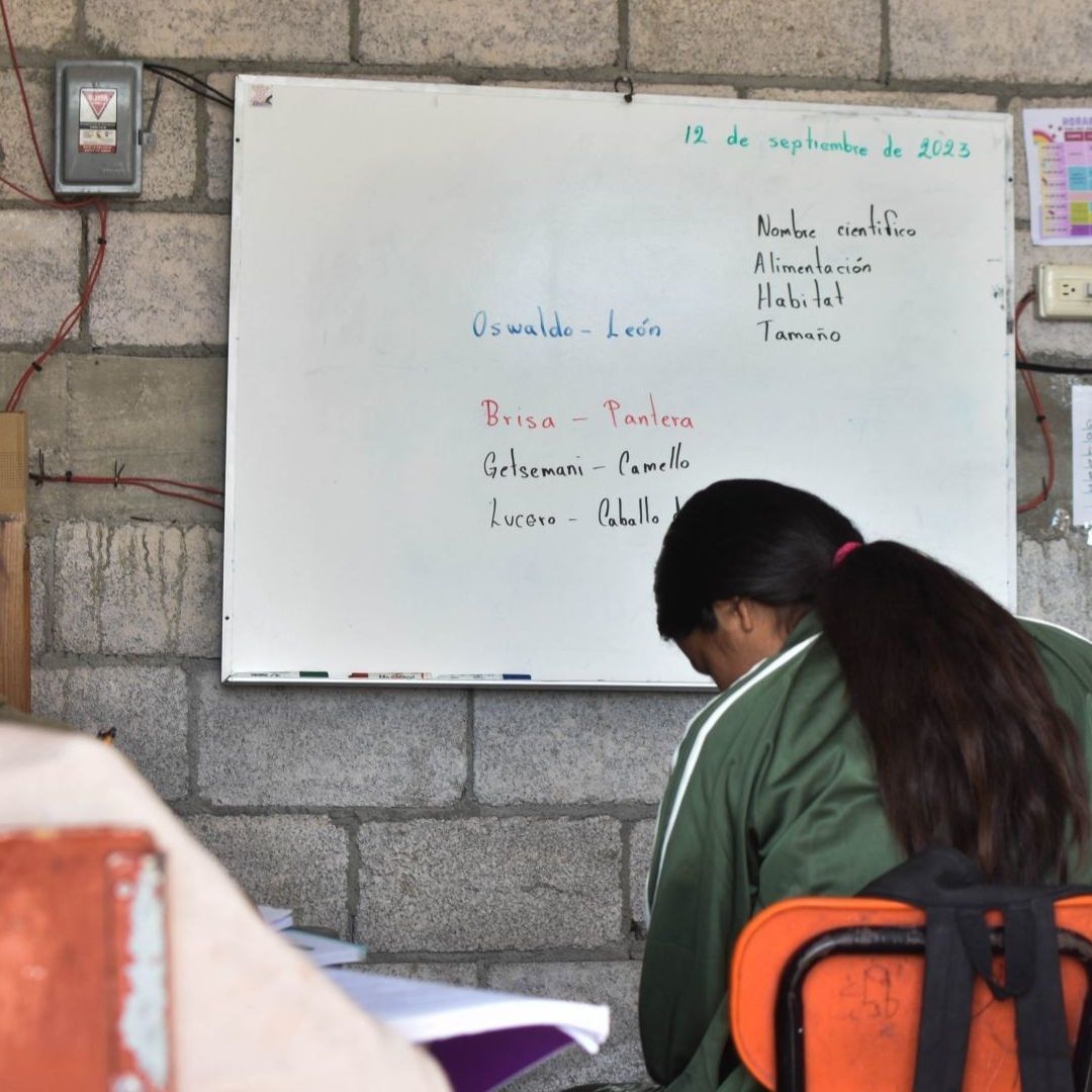 ¿Cuándo Regresan a Clases los Maestros de la SEP? Este Día de Enero Acaban sus Vacaciones