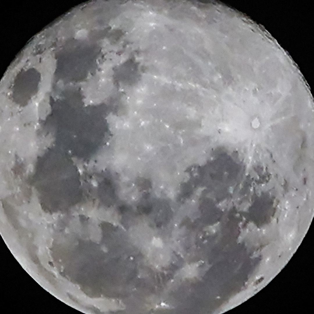 Astronauta cree que en la Luna puede haber vestigios de la vida terrestre