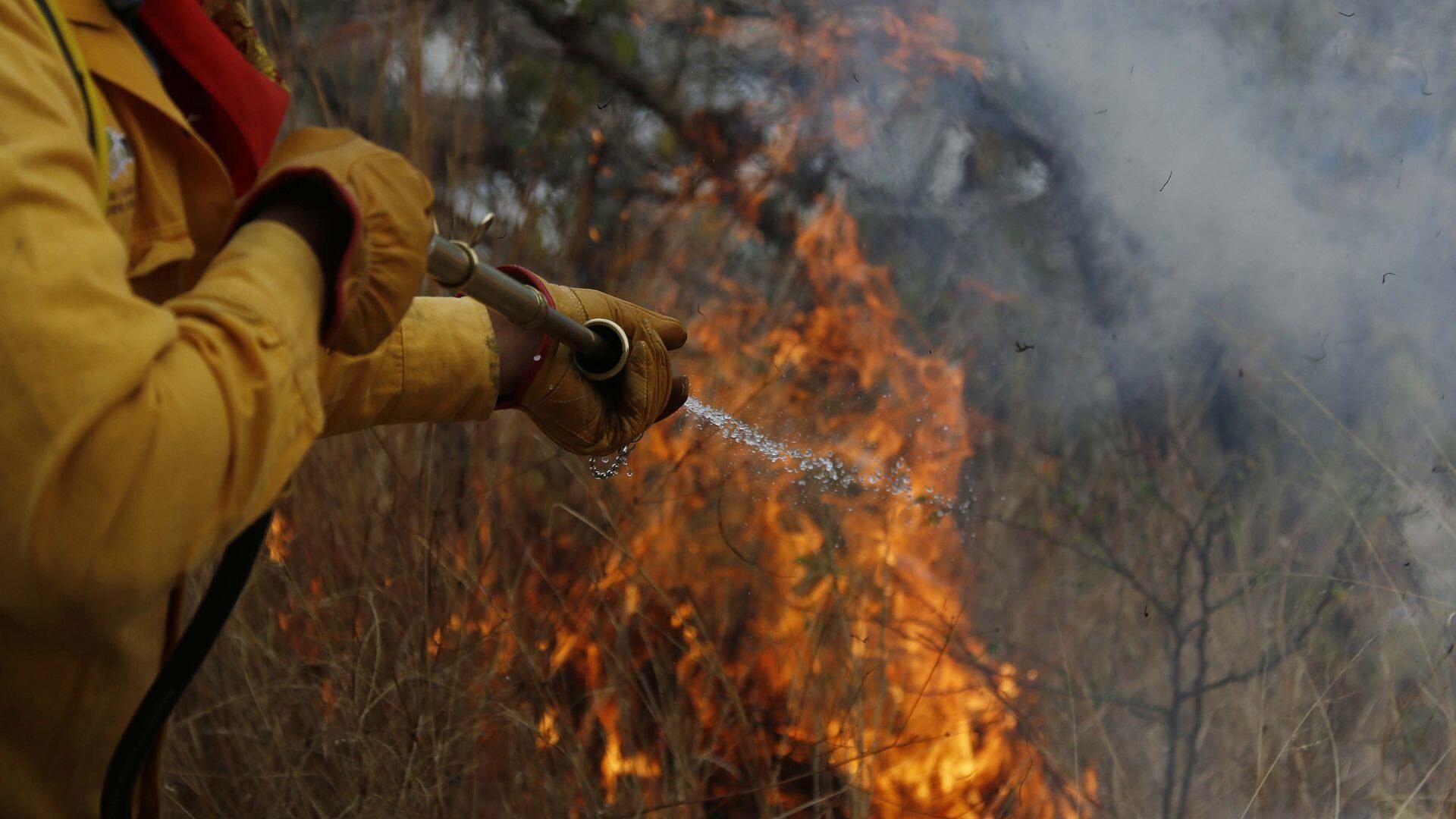 Oaxaca: Selva de los Chimalapas en Peligro por Incendios Forestales