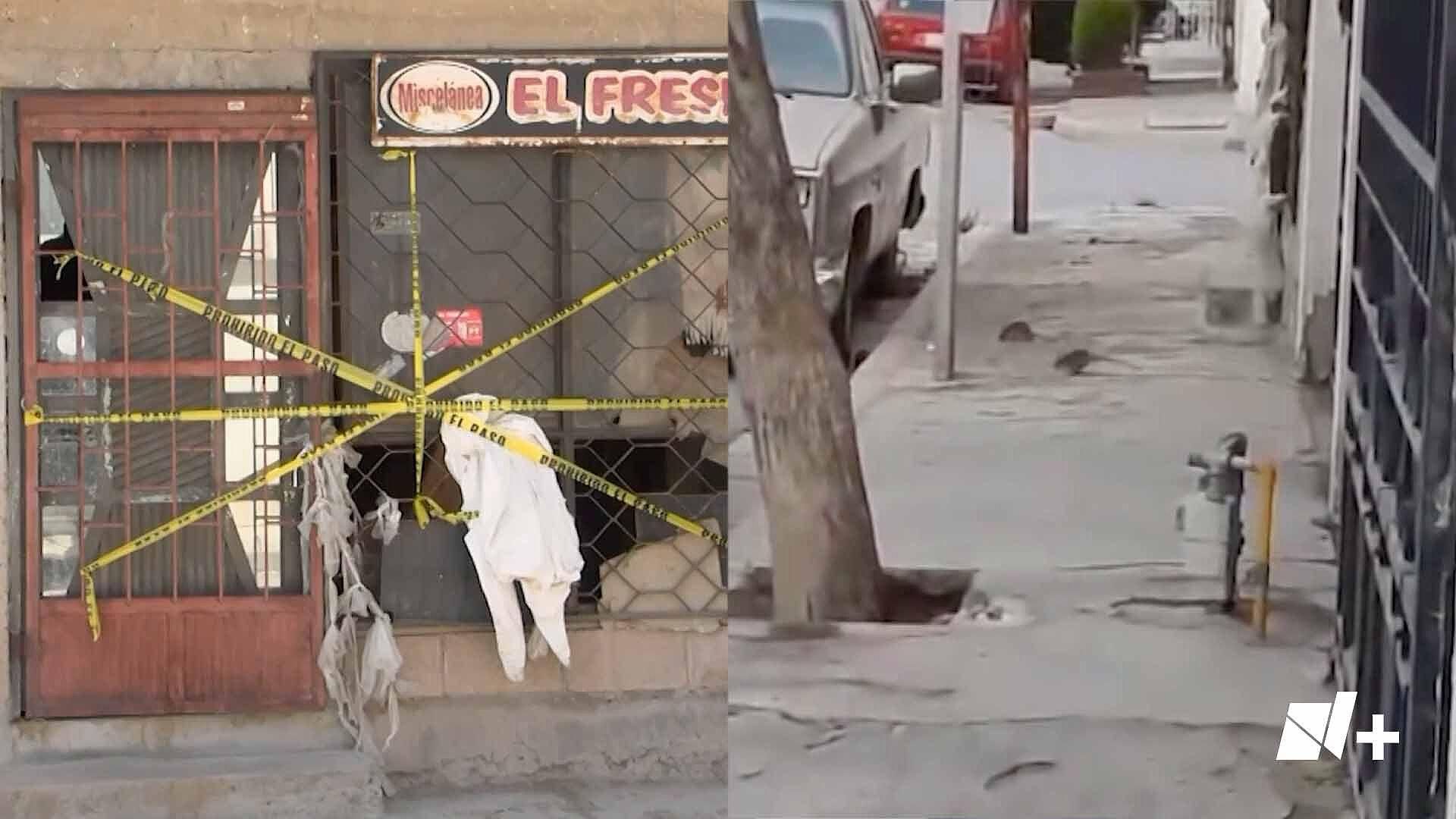 Vecinos Denuncian Plaga de Ratas en Torreón