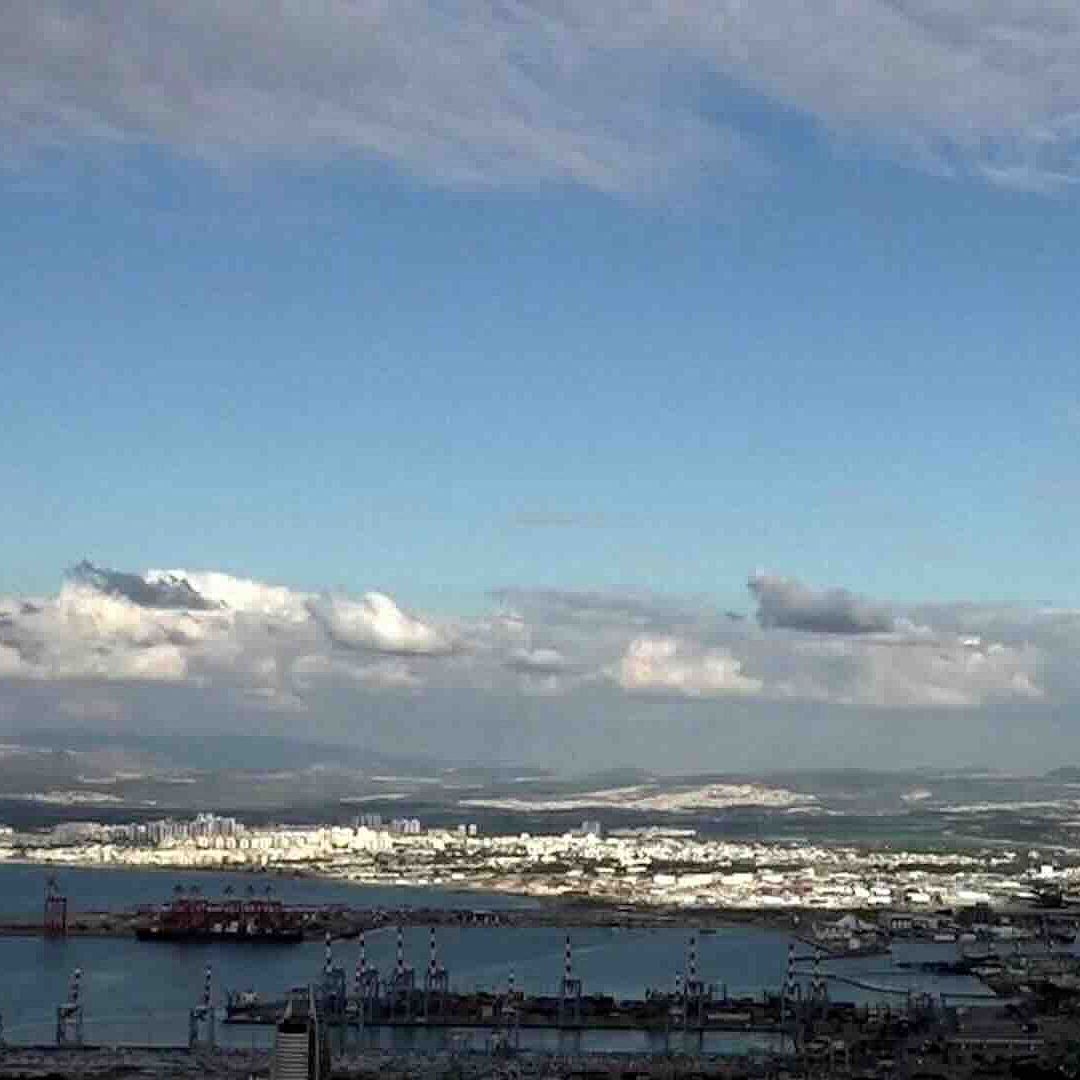 1772288718772-snapshot.jpg