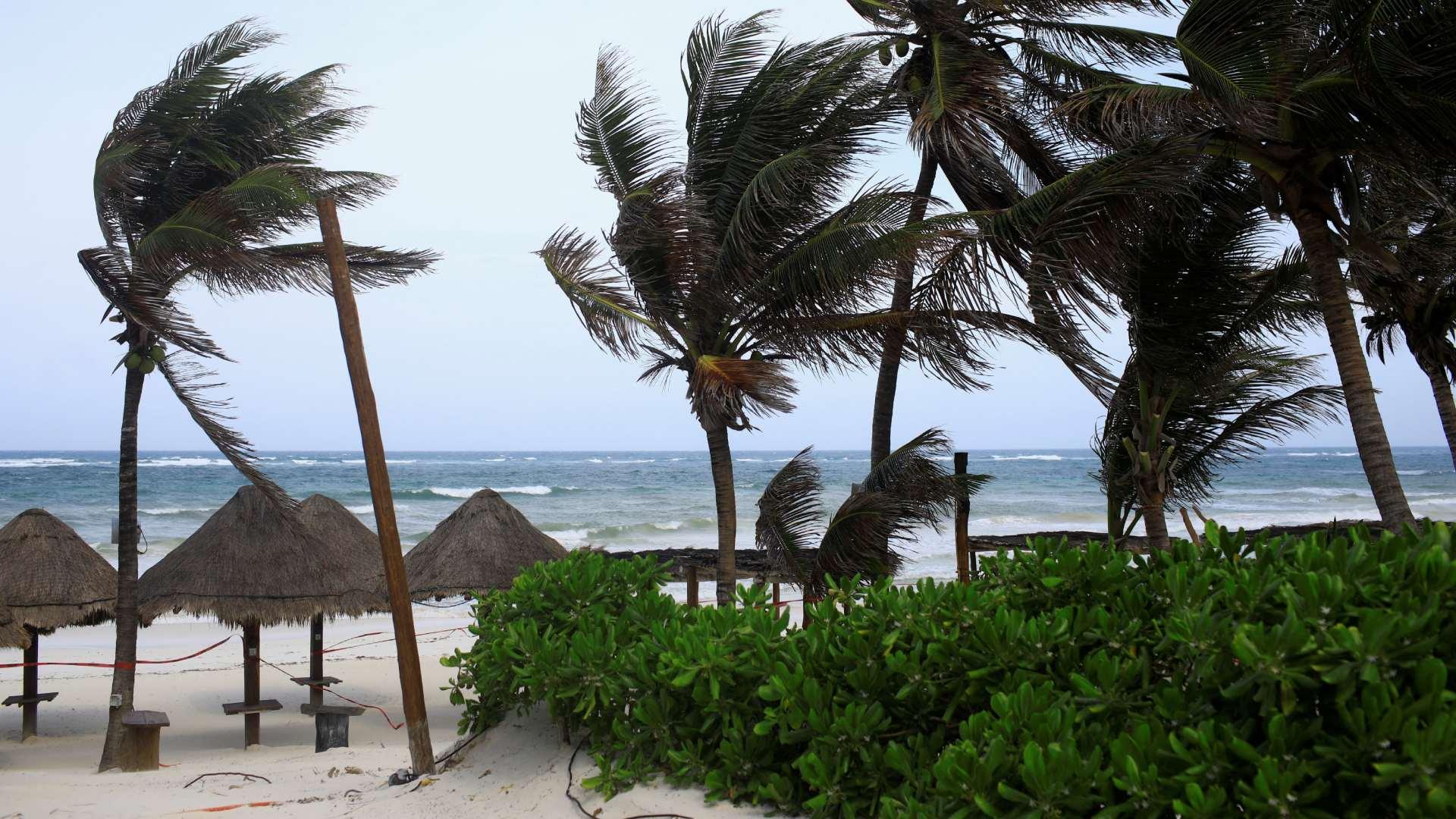 Palmeras en la playa antes de la llegada del huracán Beryl, en Tulum, Quintana Roo.