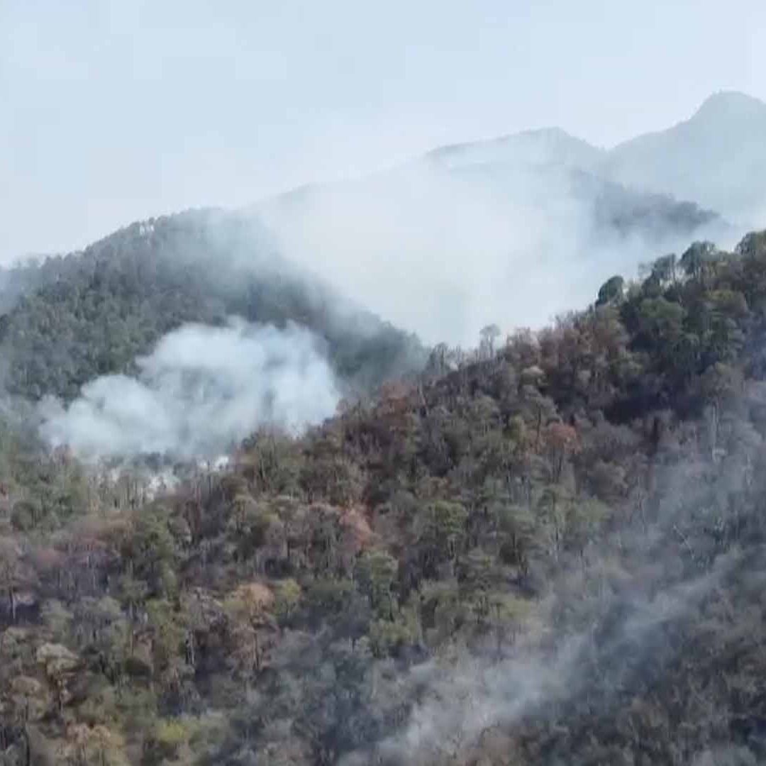 250 Hectáreas afectadas por Incendio Forestal en Sierra de Miquihuana, Tamaulipas