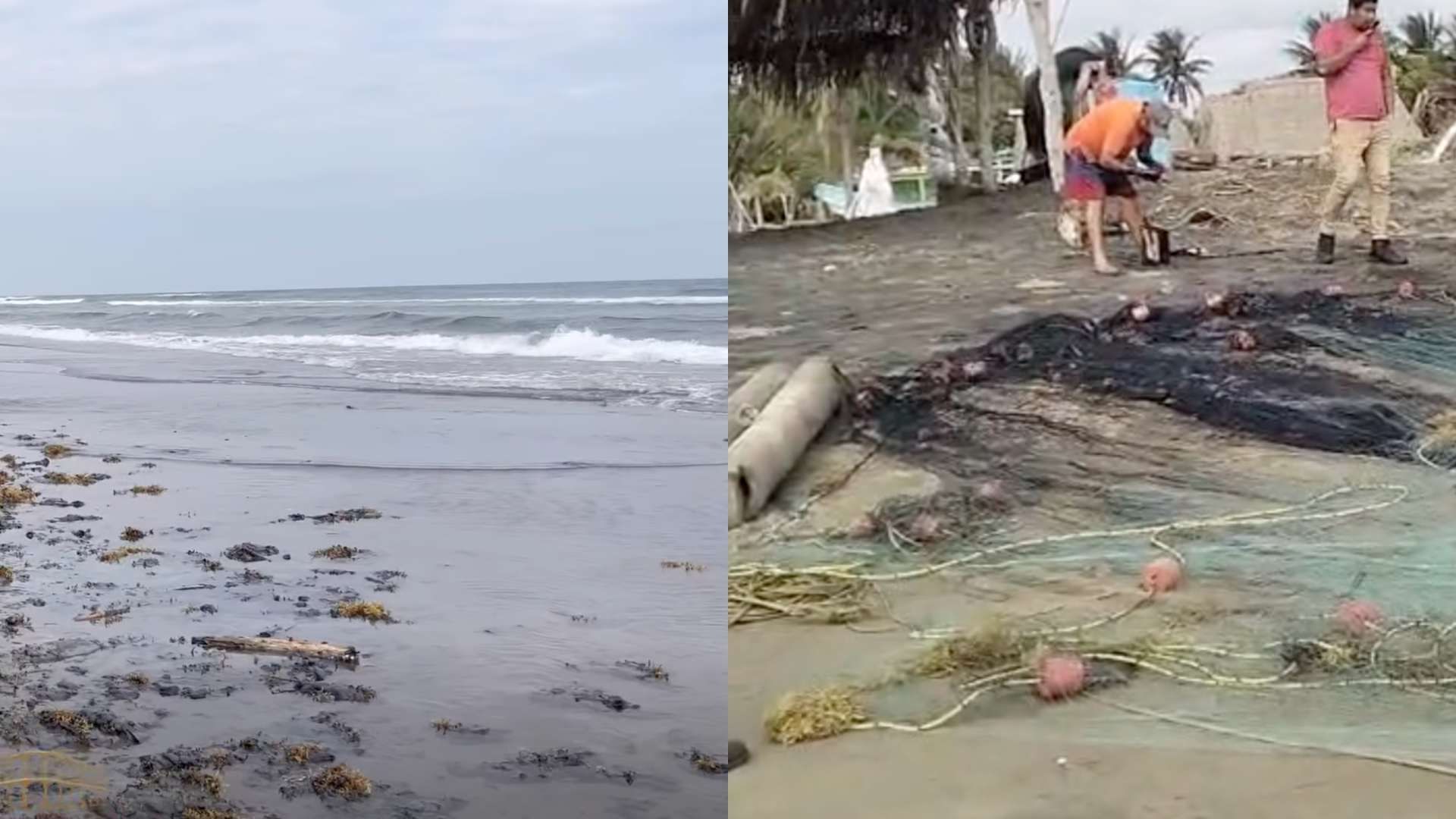Cierran Zona de Playa por Derrame de Hidrocarburo en Pajapan, Veracruz