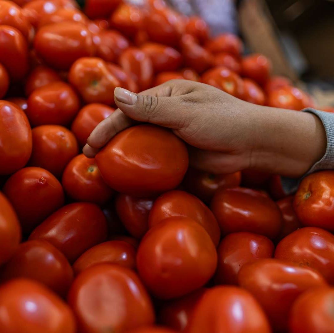 Venta de productos en mercado público de la Ciudad de México (CDMX). Foto: N+