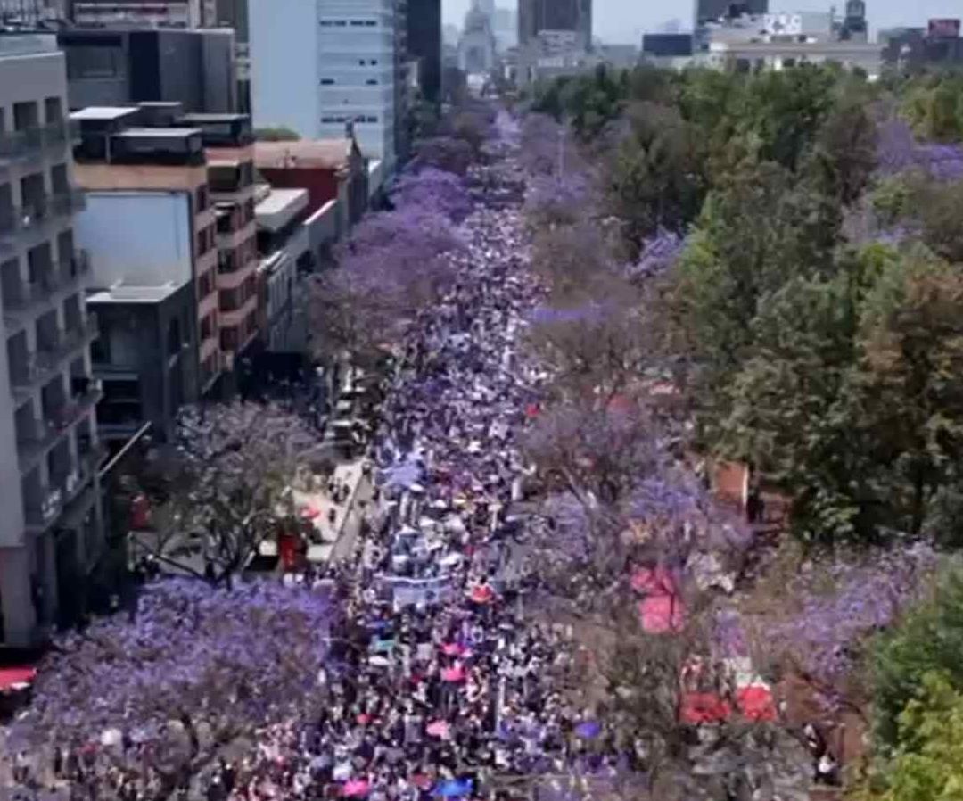 Asistencia a la marcha del 8M. Foto: N+